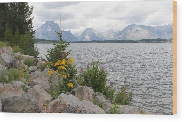 Tetons Wood Print featuring the photograph Wyoming Mountains by Diane Bohna