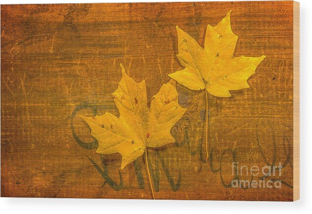 Yellow Leaves On Wood Still Life Wood Print featuring the photograph Yellow Leaves on Wood Still Life by Randy Steele