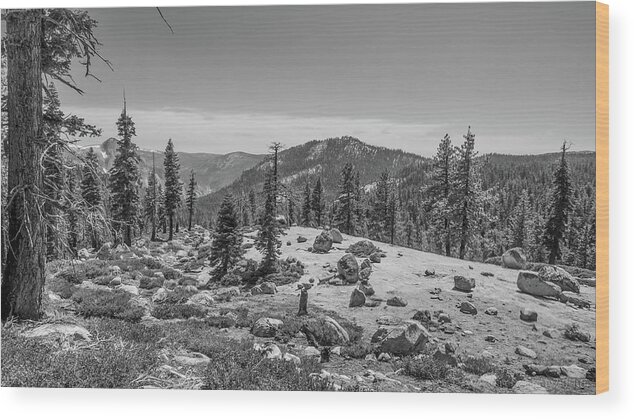Landscape Wood Print featuring the photograph Yosemite Landscape by Henri Irizarri