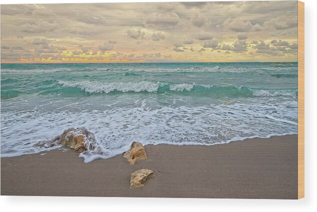 Sea Wood Print featuring the photograph Jupiter Beach #1 by Steve DaPonte
