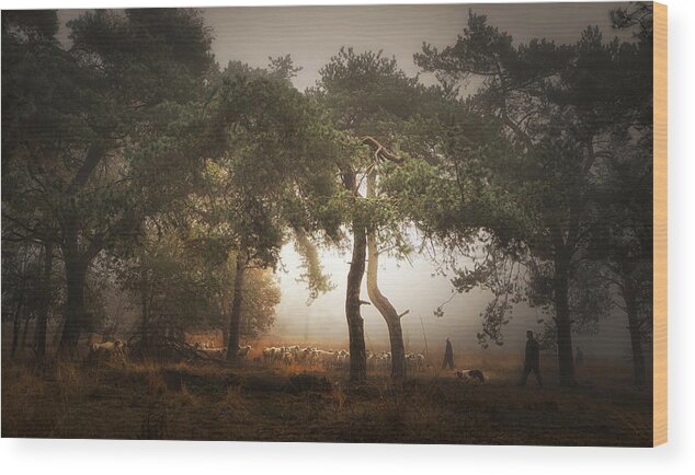 Forest Wood Print featuring the photograph Foggy Memory Of The Past #4 by Saskia Dingemans