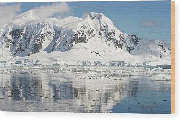 Tranquility Wood Print featuring the photograph Antarctic Peninsula, Antarctica #9 by Enrique R. Aguirre Aves