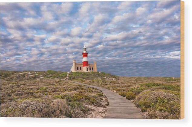 Lighthouse Wood Print featuring the photograph A Light On a Hill by Hamish Mitchell