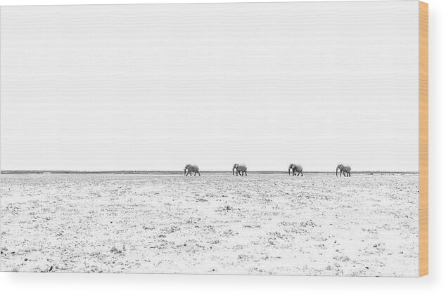 Elephant Wood Print featuring the photograph A Long Dusty Road by Hamish Mitchell