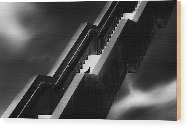 Stair Wood Print featuring the photograph A Long Way ... by Marc Huybrighs