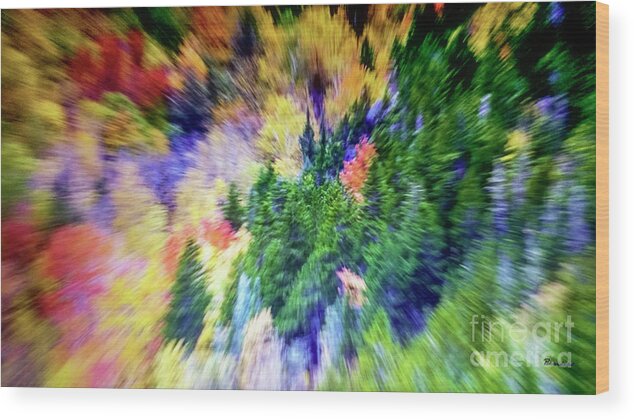Abstract Wood Print featuring the photograph Abstract Forest Photography 5501f1 by Ricardos Creations