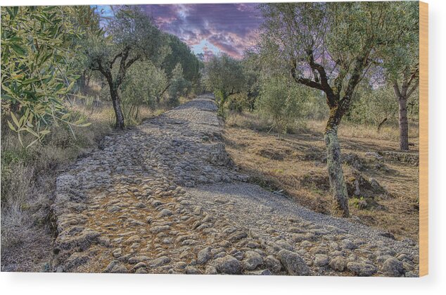 Estrada Romana Wood Print featuring the photograph Ancient Roman Road by Micah Offman