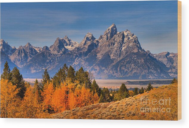 Grand Teton Wood Print featuring the photograph Autumn Gold In The Tetons by Adam Jewell