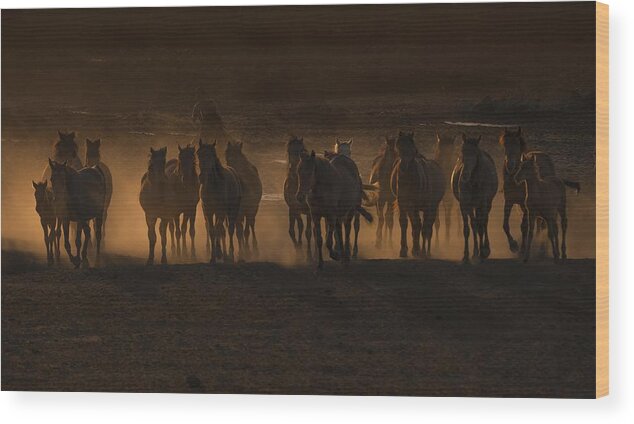 Golden Wood Print featuring the photograph Beautiful The Country Of Horses / by Ramiz ?ahin