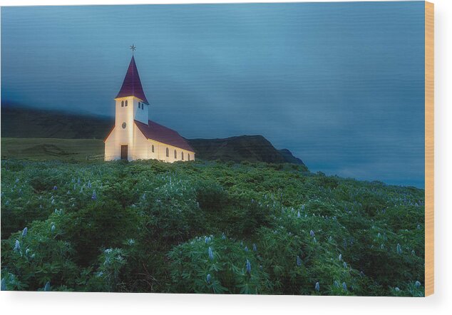 Iceland Wood Print featuring the photograph Between The Lupines by Wim Denijs