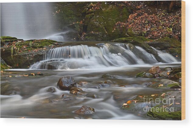 Water Fall Wood Print featuring the photograph Bittersweet Falls by Steve Brown
