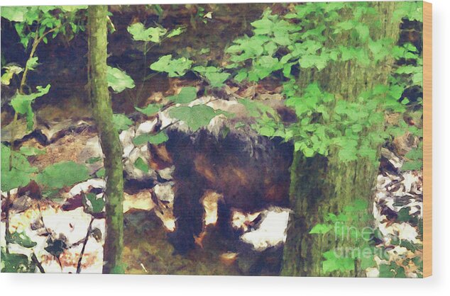 Bear Wood Print featuring the digital art Black Bear In Woods by Phil Perkins