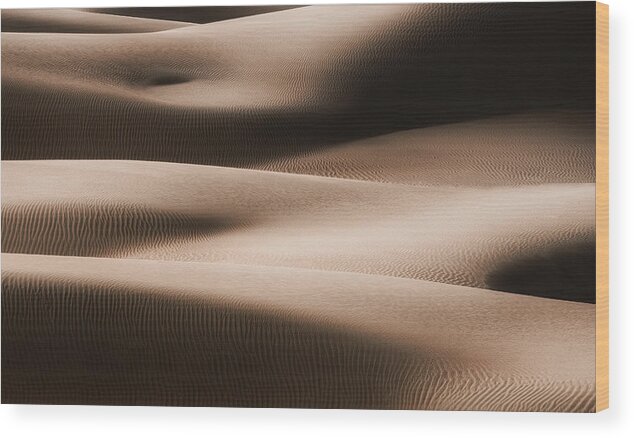 Desert Wood Print featuring the photograph Bodies by Robert Work