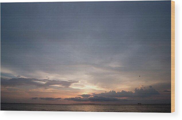 Ala Wood Print featuring the photograph Bountiful Sunset along the Gulf of Mexico by James-Allen