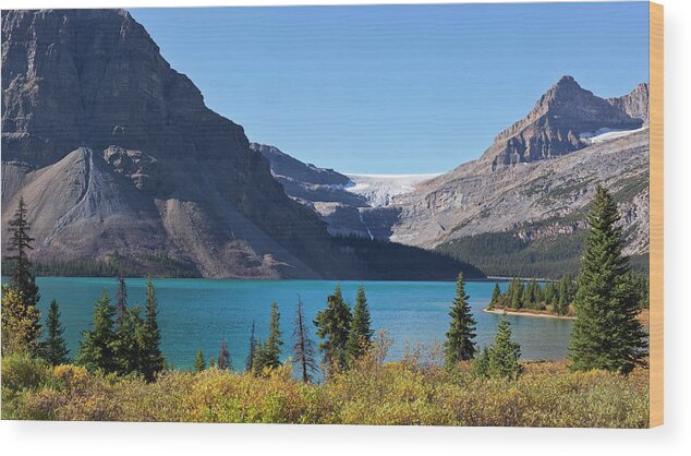 Scenics Wood Print featuring the photograph Bow Lake And Bow Glacier by Frank J Wicker