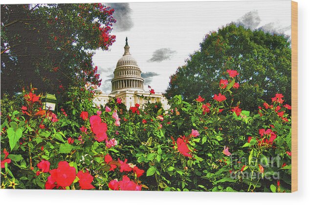 Capitol Wood Print featuring the photograph Capitol West Summer - Impression by Steve Ember