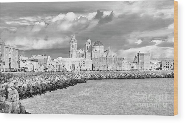 Landscape Wood Print featuring the photograph Cathedral from Southern Field Cadiz Spain Black and White by Pablo Avanzini