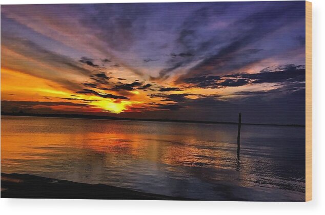 Charleston Wood Print featuring the photograph Charleston Gold by Jack Wilson