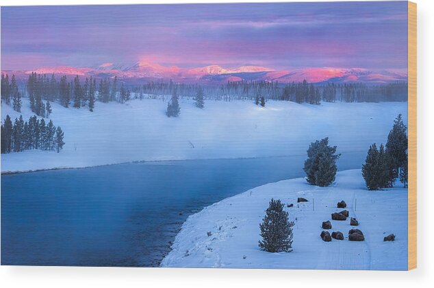 Yellowstone Wood Print featuring the photograph Early Morning In Yellowstone by Siyu And Wei Photography
