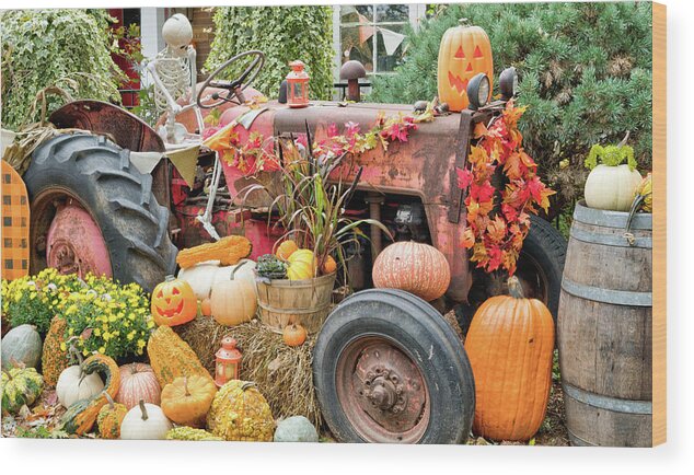 Fall Wood Print featuring the photograph Fall Decor by Nick Mares