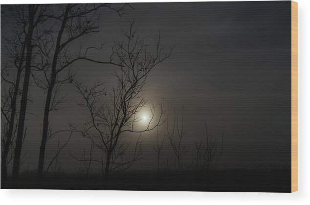 Florida Wood Print featuring the photograph Foggy Sunrise 2 Ocala National Forest Florida by Lawrence S Richardson Jr