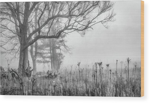 Cades Cove Wood Print featuring the photograph Friendly Fog, Black and White by Marcy Wielfaert