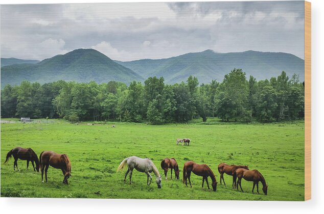 Clouds Wood Print featuring the photograph Grazing by Joe Leone