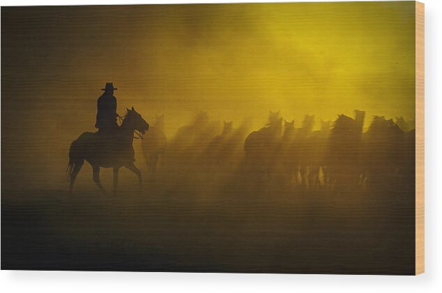 Cowboy Wood Print featuring the photograph Herd And Cowboy by Zhd Bilgin