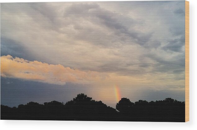Weather Wood Print featuring the photograph Hidden Tennessee Rainbow by Ally White