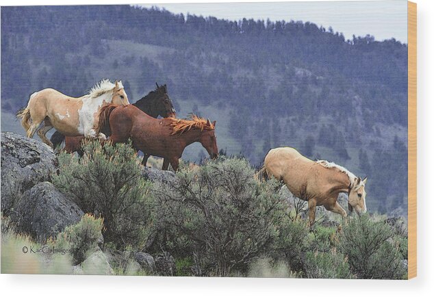 Equines Wood Print featuring the photograph Horses On A Downhill Run by Kae Cheatham