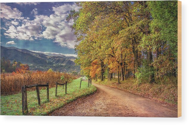 Cades Cove Wood Print featuring the photograph It's Finally Fall by Marcy Wielfaert