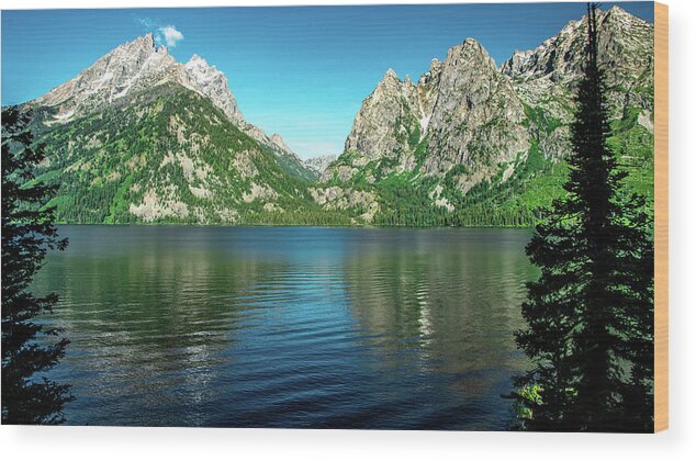 Grand Tetons National Park Wood Print featuring the photograph Jenny Lake Morning by Marcy Wielfaert