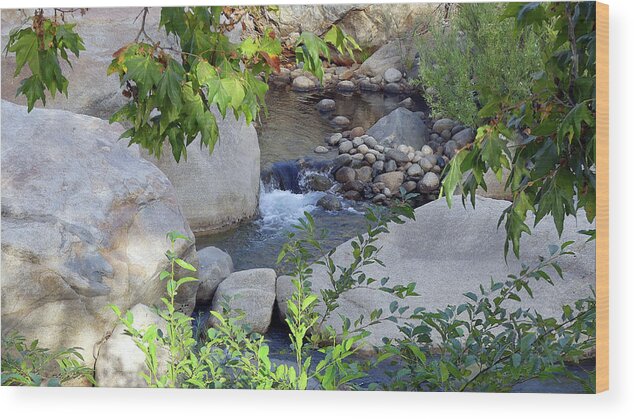 Usa Wood Print featuring the pyrography Kaweah River by Magnus Haellquist