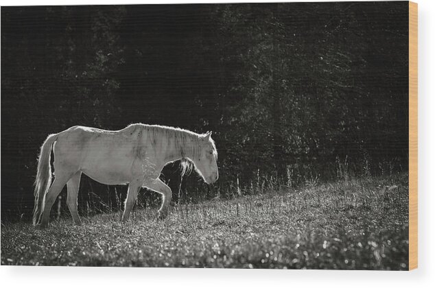 Horse Wood Print featuring the photograph Life is an Uphill Battle by Holly Ross