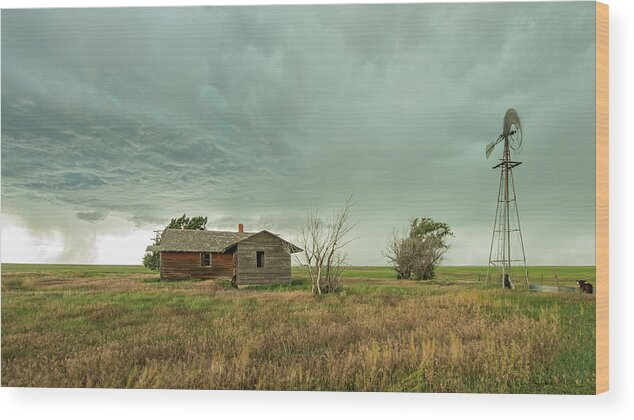 Colorado Wood Print featuring the photograph Lonely by Laura Hedien
