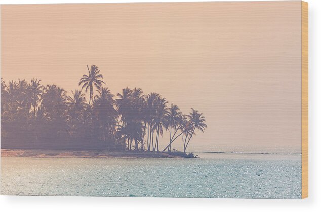 Trees Wood Print featuring the photograph Moody Topical Beach Background, Palm by Levente Bodo