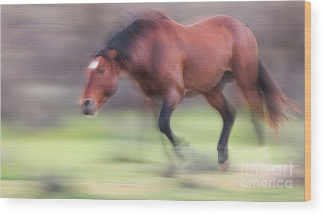 Action Wood Print featuring the photograph Motion by Shannon Hastings