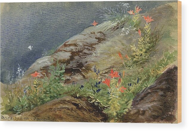 Watercolor Wood Print featuring the painting Mountain Flowers by Lilias Trotter