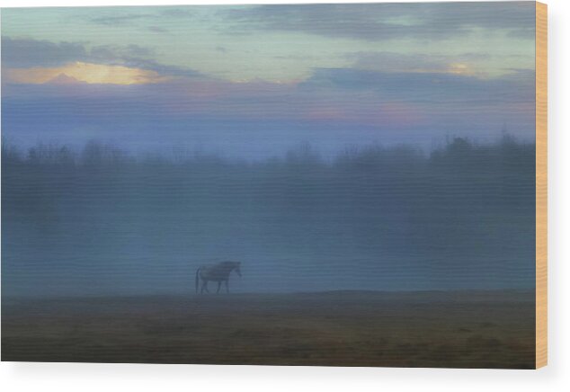 Mist Wood Print featuring the photograph November Mist by Holly Dwyer