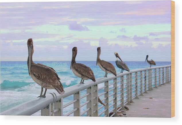Pelican Wood Print featuring the photograph Ocean Watching by Iryna Goodall