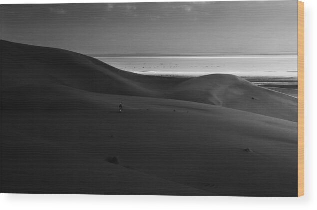 Desert Wood Print featuring the photograph One More Step by Kavian Mashayekhi