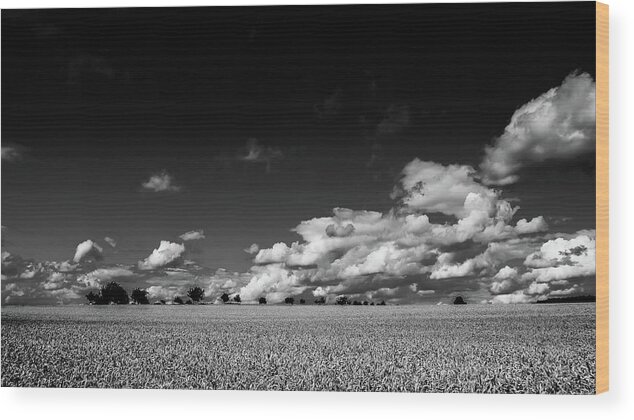 Black-and-white Wood Print featuring the photograph Paysage by Jorg Becker