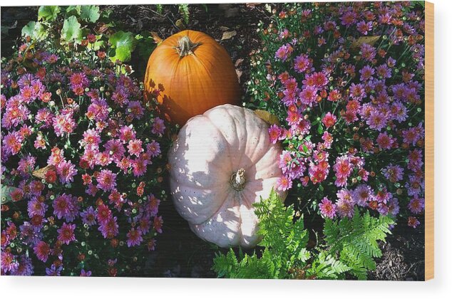 Pumpkin Wood Print featuring the photograph Perfect Pumpkins by Ally White