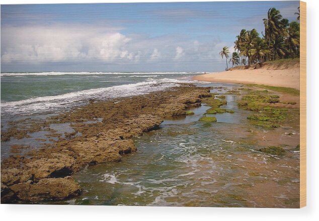 Bahia State Wood Print featuring the photograph Praia Do Forte - Bahia by Serlunar