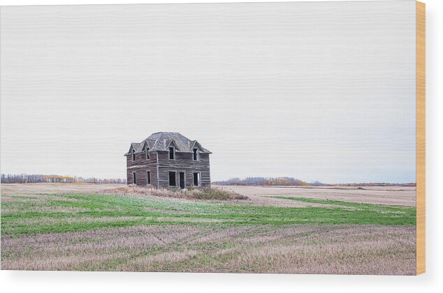 Landscape Wood Print featuring the photograph Prairie Infirmary by Hamish Mitchell