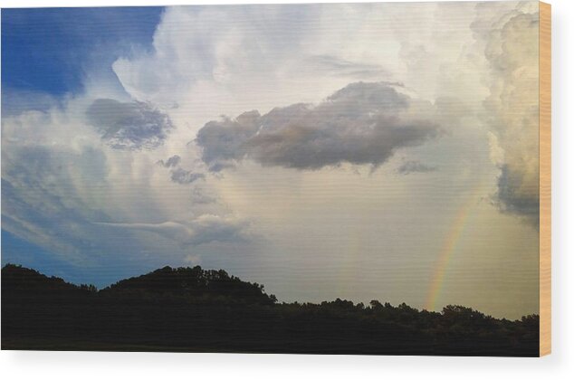 Weather Wood Print featuring the photograph Shades of Sky by Ally White