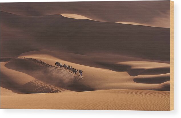 Desert Wood Print featuring the photograph Shadows In The Desert by Mei Xu