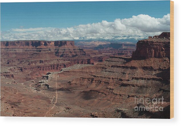 Canyon Wood Print featuring the photograph Shafer Canyon by Julia McHugh