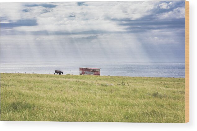 Landscape Wood Print featuring the photograph Solitude by Hamish Mitchell