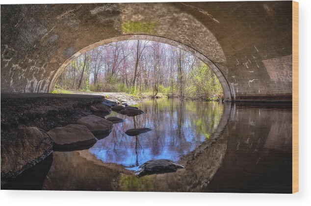 Spring Water Wood Print featuring the photograph Springtime Tunnel Vision by John Randazzo